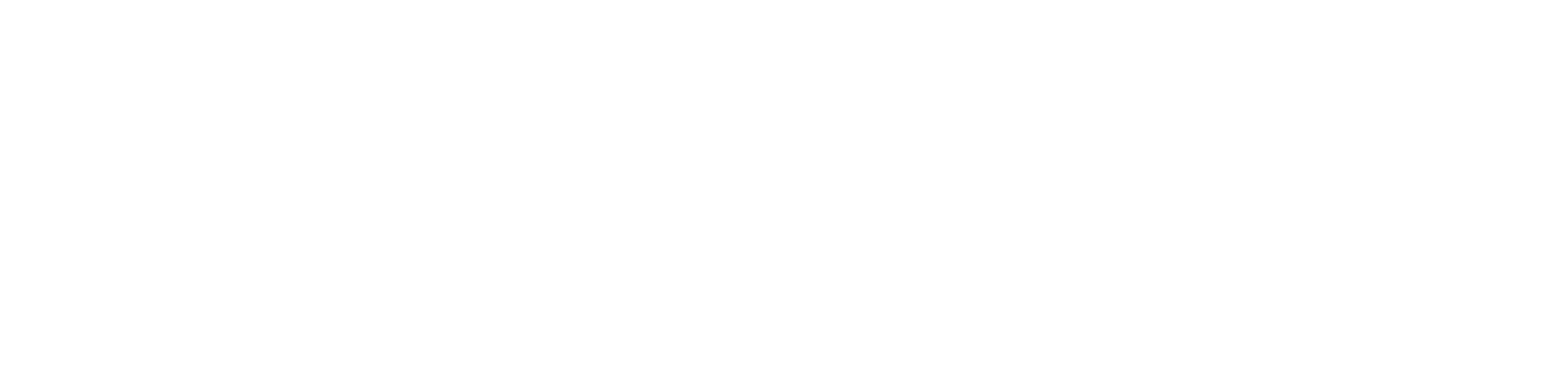 apex-logo-wide-light
